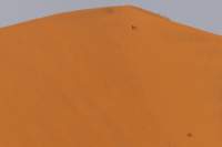 _namibia23set0452_small.jpg
