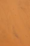 _namibia23set0453_small.jpg