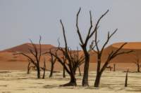 _namibia23set0455_small.jpg