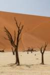 _namibia23set0456_small.jpg