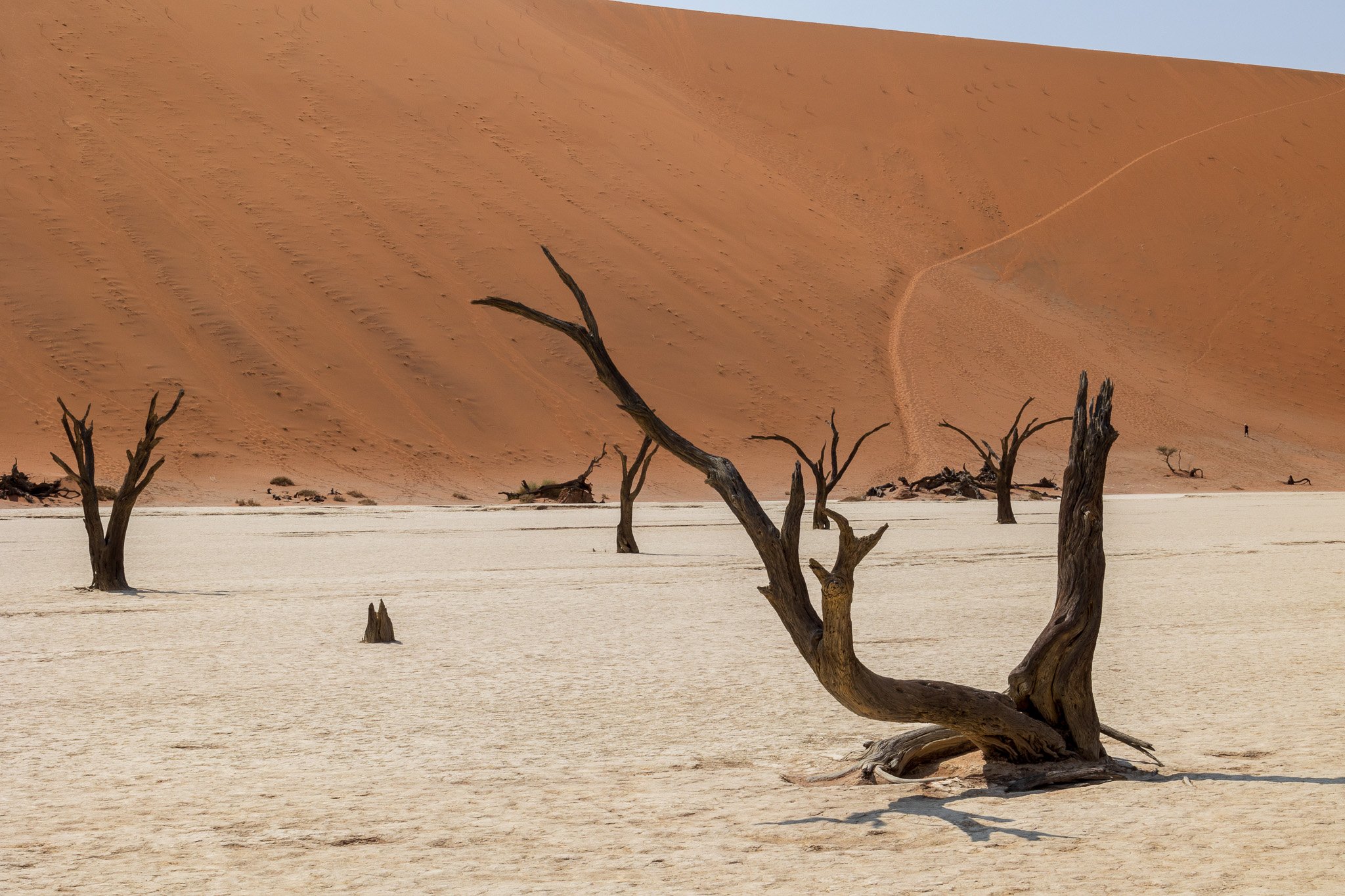 _namibia23set0457.jpg