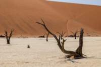 _namibia23set0457_small.jpg