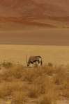 _namibia23set045_small.jpg