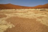 _namibia23set0460_small.jpg