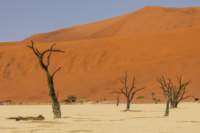_namibia23set0461_small.jpg