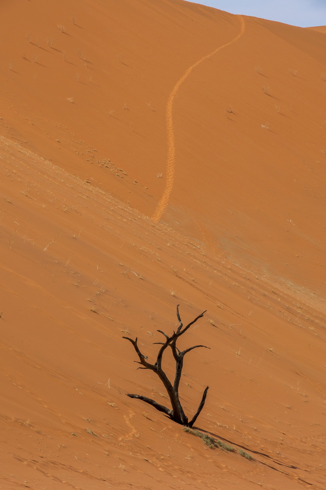 _namibia23set0462.jpg