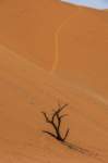 _namibia23set0462_small.jpg