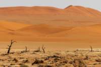 _namibia23set0464_small.jpg