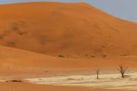 _namibia23set0465_small.jpg