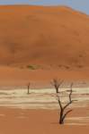 _namibia23set0466_small.jpg