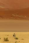 _namibia23set046_small.jpg