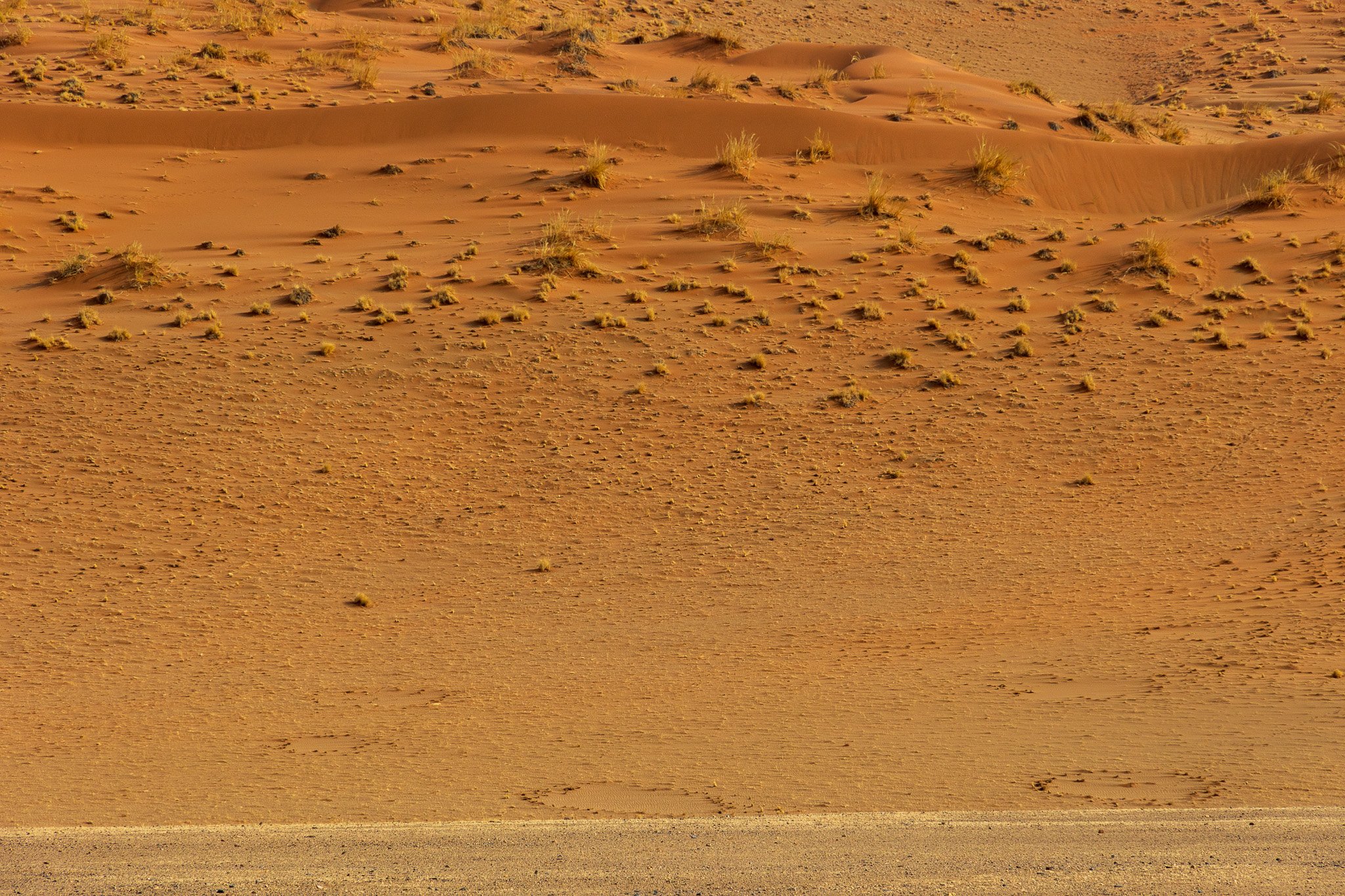 _namibia23set047.jpg