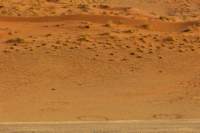 _namibia23set047_small.jpg
