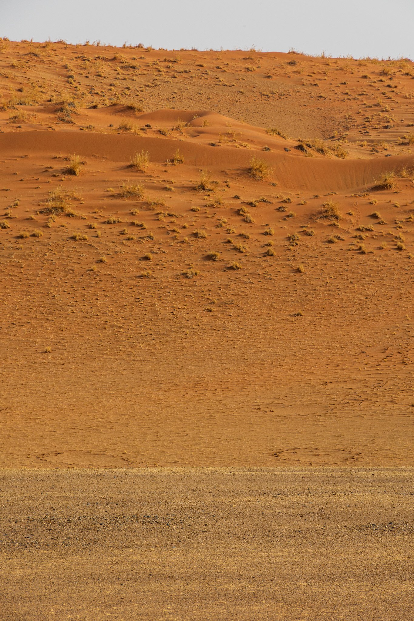 _namibia23set048.jpg
