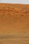 _namibia23set048_small.jpg