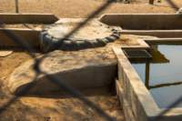 _namibia23set0519_small.jpg