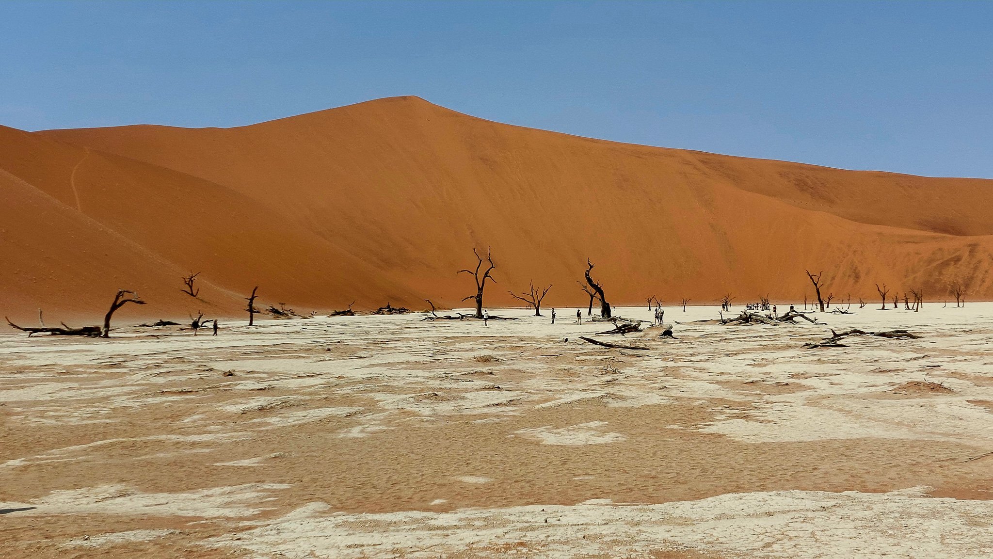 a_namibia23set042.jpg