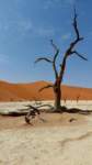 b_namibia23set042_small.jpg