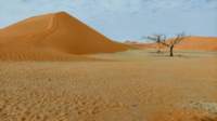 b_namibia23set04_small.jpg