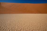 nam0324_small.jpg