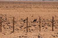nam0415_small.jpg