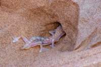 nam0810_small.jpg
