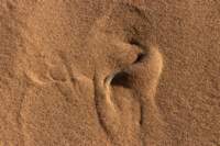 nam0874_small.jpg