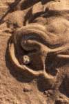 nam0909_small.jpg