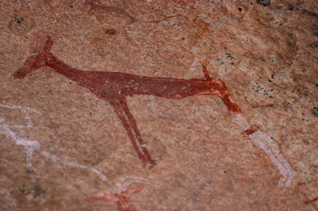 nam1270.jpg