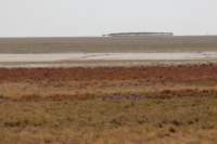 nam1832_small.jpg
