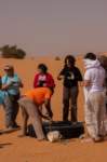 nubia_2023feb13_0099_small.jpg