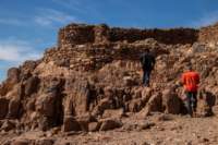 nubia_2023feb17_0401_small.jpg