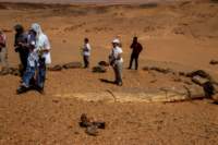 nubia_2023feb20_0790_small.jpg