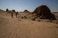 nubia_2023feb21_0875_small.jpg