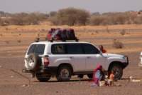nubia_2023feb23_1093_small.jpg