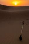 nubia_2023feb14_0118_small.jpg