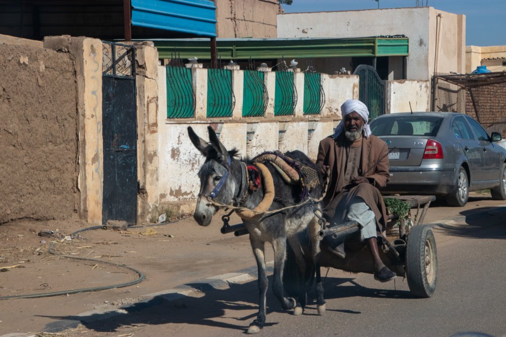 nubia_2023feb15_0160.jpg