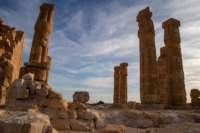 nubia_2023feb15_0201_small.jpg