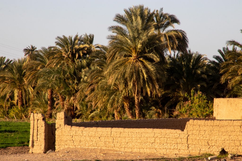 nubia_2023feb15_0207.jpg