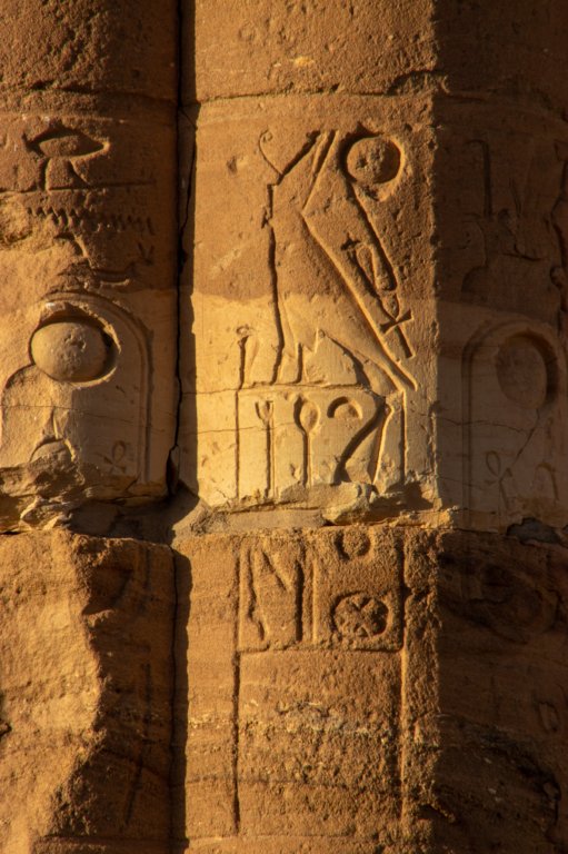 nubia_2023feb15_0210.jpg