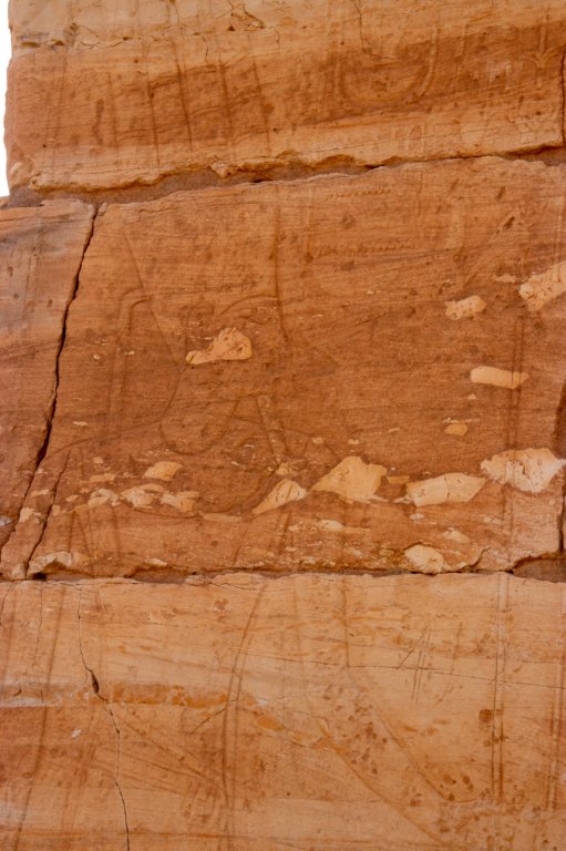 nubia_2023feb15_0213.jpg