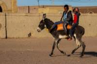 nubia_2023feb16_0227_small.jpg