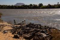 nubia_2023feb16_0229_small.jpg