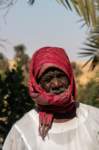 nubia_2023feb16_0238_small.jpg