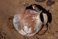 nubia_2023feb16_0244_small.jpg