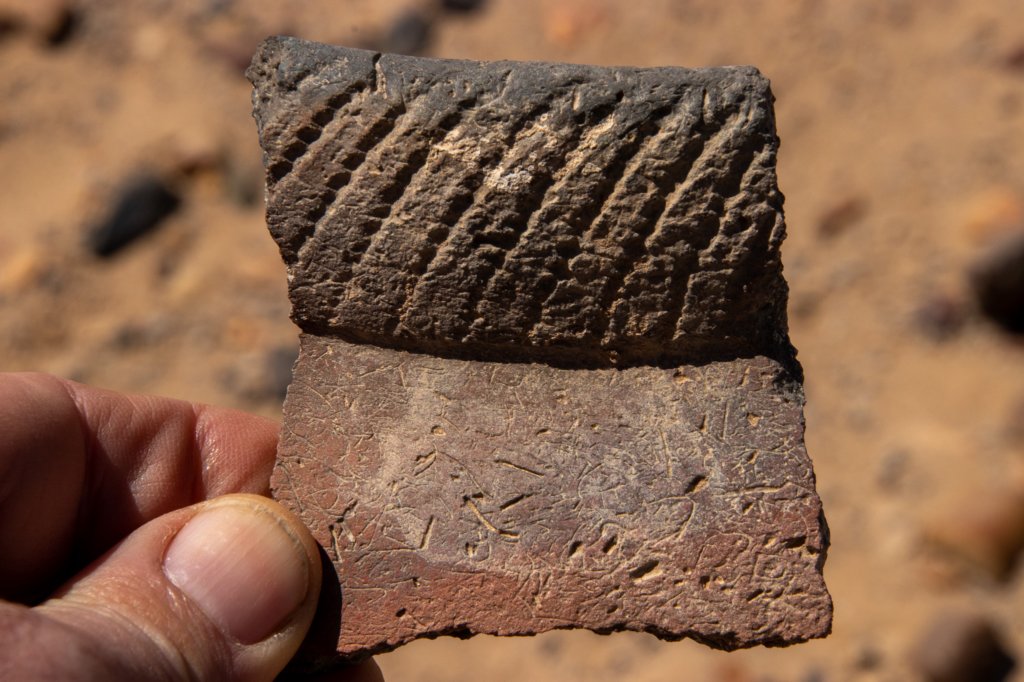nubia_2023feb16_0245.jpg