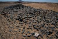 nubia_2023feb16_0247_small.jpg
