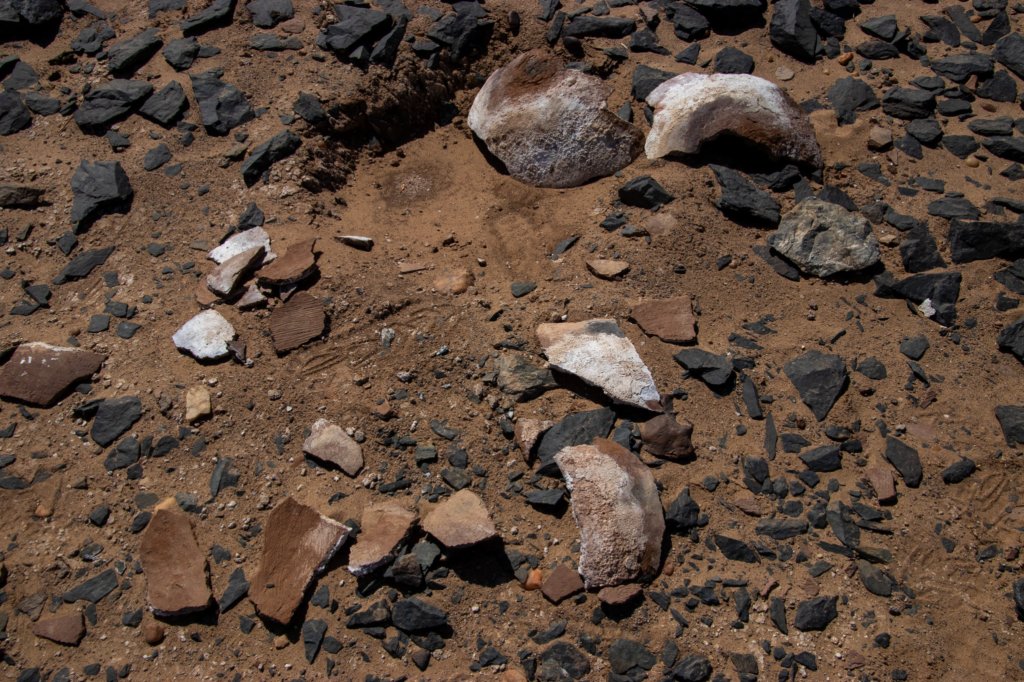 nubia_2023feb16_0248.jpg