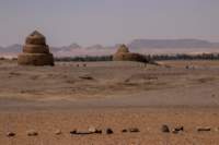 nubia_2023feb16_0250_small.jpg