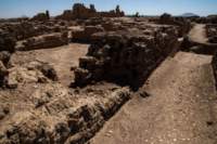 nubia_2023feb16_0252_small.jpg